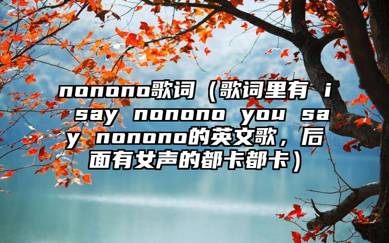nonono歌词（歌词里有 i say nonono you say nonono的英文歌，后面有女声的都卡都卡）
