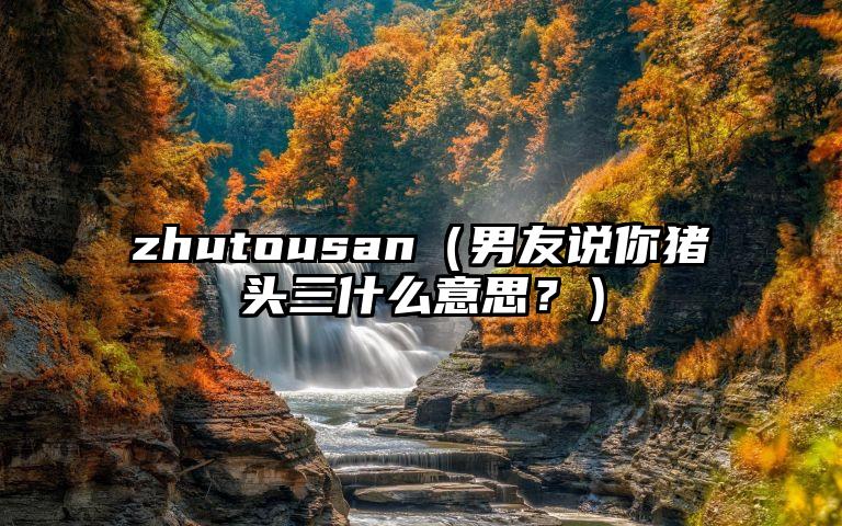 zhutousan（男友说你猪头三什么意思？）