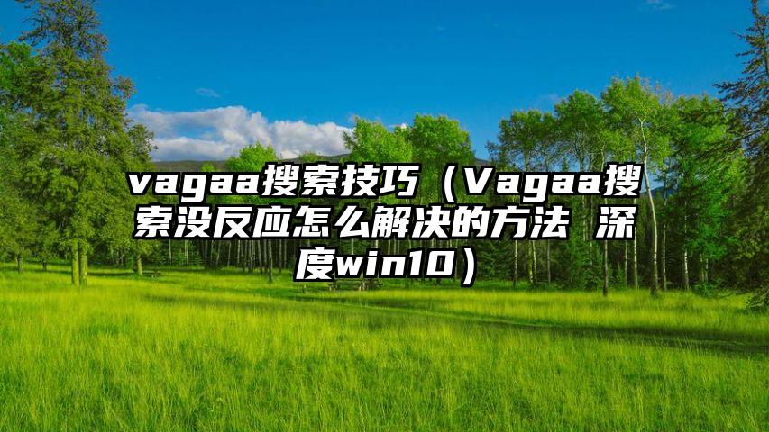 vagaa搜索技巧（Vagaa搜索没反应怎么解决的方法 深度win10）