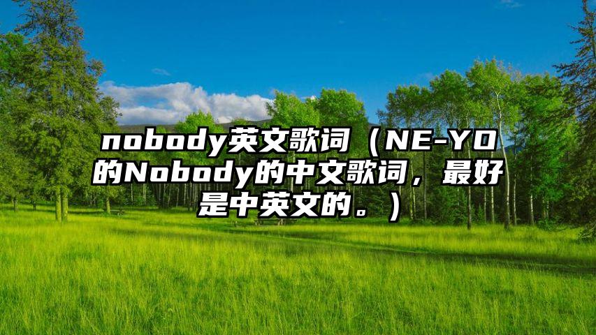 nobody英文歌词（NE-YO的Nobody的中文歌词，最好是中英文的。）