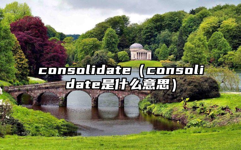 consolidate（consolidate是什么意思）