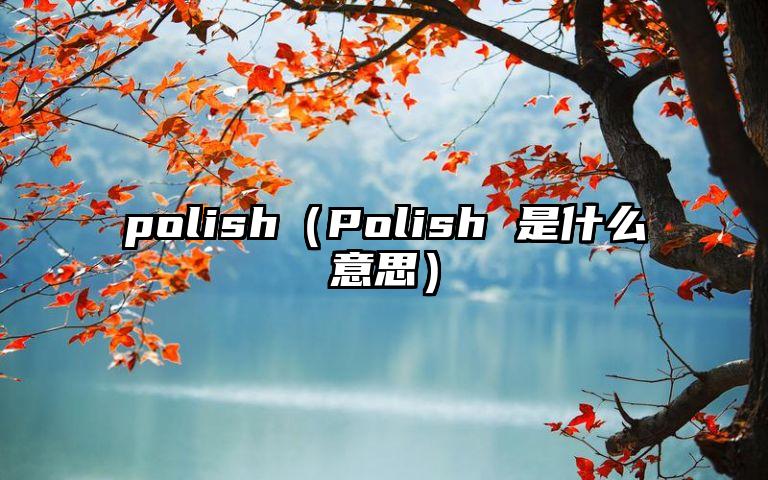 polish（Polish 是什么意思）
