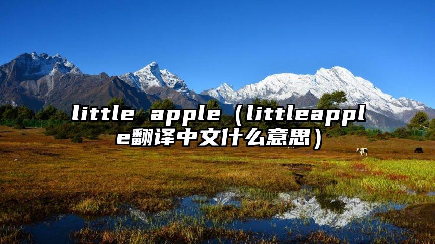 little apple（littleapple翻译中文什么意思）
