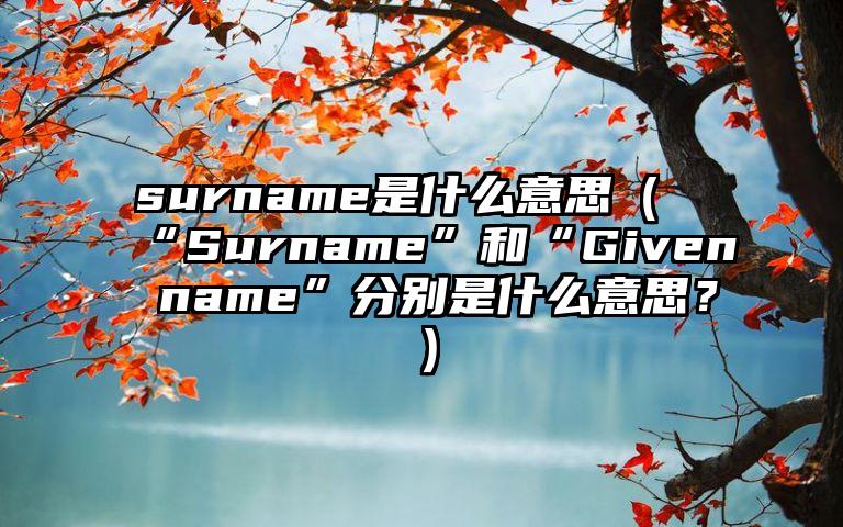 surname是什么意思（“Surname”和“Given name”分别是什么意思？）