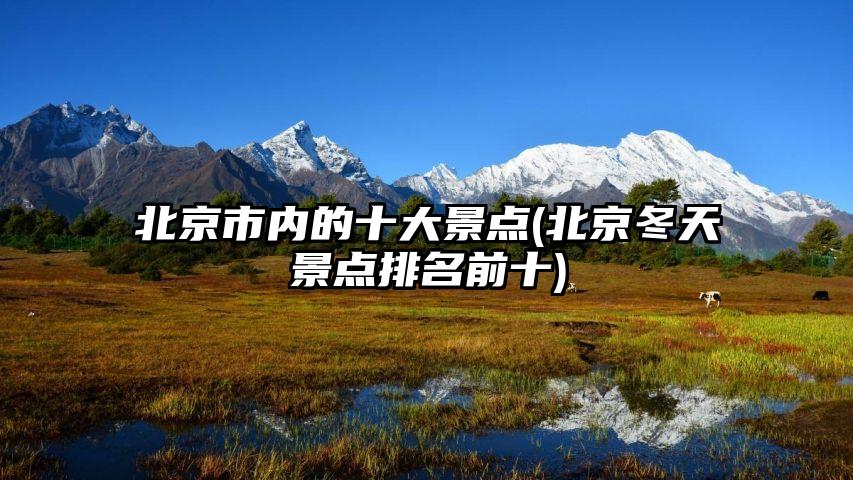 北京市内的十大景点(北京冬天景点排名前十)